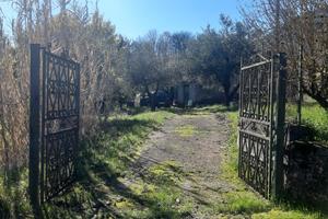 Terreno agricolo