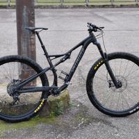 specialized stumpjumper 29