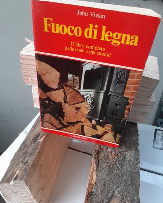 Fuoco di legna 
