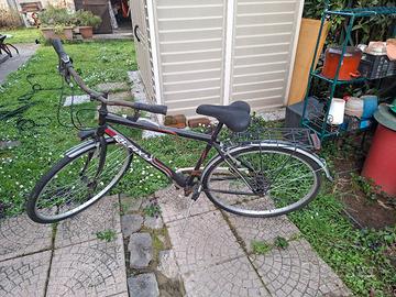 bicicletta 