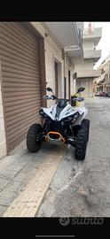 Can am Renegade 650cc