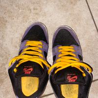 Nike dunk sb low terra