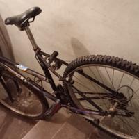 bicicletta da uomo /ragazzo adulto 