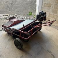 Cernitrice e raccoglitrice olive