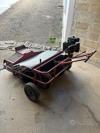 Cernitrice e raccoglitrice olive