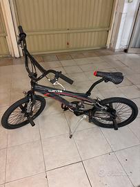 BMX Isernia Lombardo