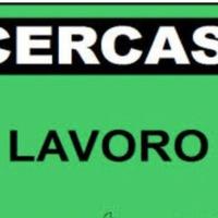 Segreteria Addetta alle vendite