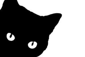 Adesivo gatto per auto