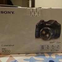 Sony DSC-H300