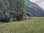 Immagine 21