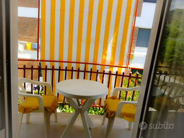 _Zeus- App.to Turistico_ sapri_Cilento