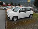 fiat-panda-1-2