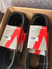 cinghia distribuzione SH 150