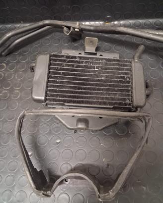 Radiatore zip sp mk1