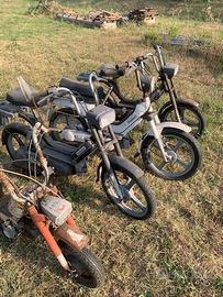 Ciclomotori  Piaggio/Benelli