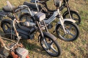 Ciclomotori  Piaggio/Benelli