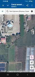 Agricolo
