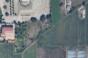 Agricolo