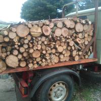 Legna da ardere di castagno