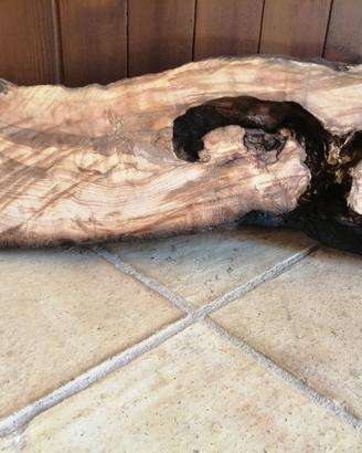 fetta di legno d'ulivo grezzo 