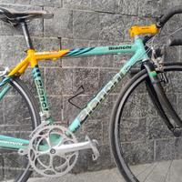 bianchi XL ev2 replica pantani