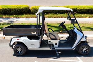 Golf Car Eagle OMOLOGABILE 2 Posti con Cassone Lun
