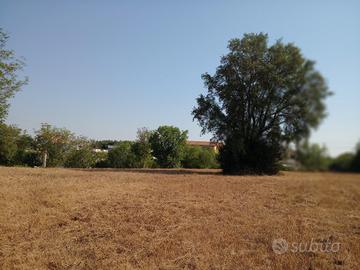 Terreno agricolo Aprilia