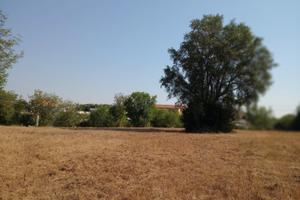 Terreno agricolo Aprilia