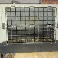 trasportino cani usato