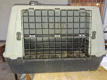 trasportino cani usato