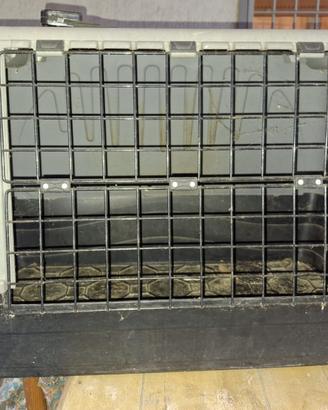 trasportino cani usato