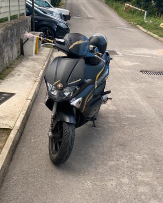 Runner 50 sp