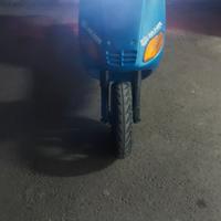 Zip Piaggio 