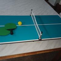 PING PONG PIEGHEVOLE 
