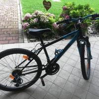 MTB decathlon