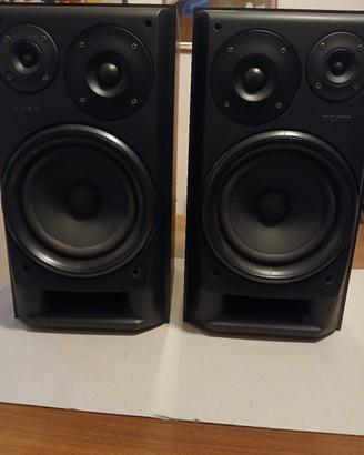 casse sony 100 watt