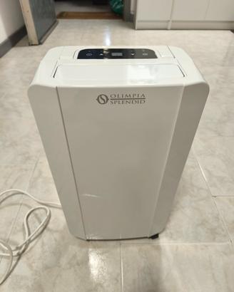 Deumidificatore Olimpia Splendid Aquaria Slim 14P 