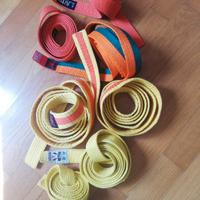 7 Cinture karate