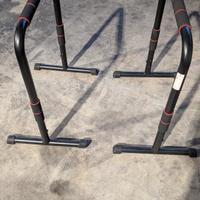 parallele per dip e calisthenics