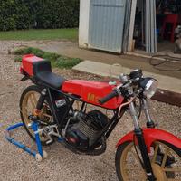 Fantic Altro modello