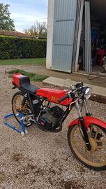Fantic Altro modello