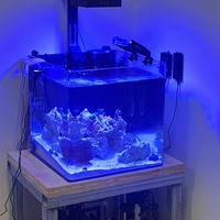 Acquario 90 litri