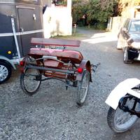 Calesse cavalli grandi