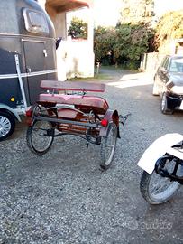 Calesse cavalli grandi