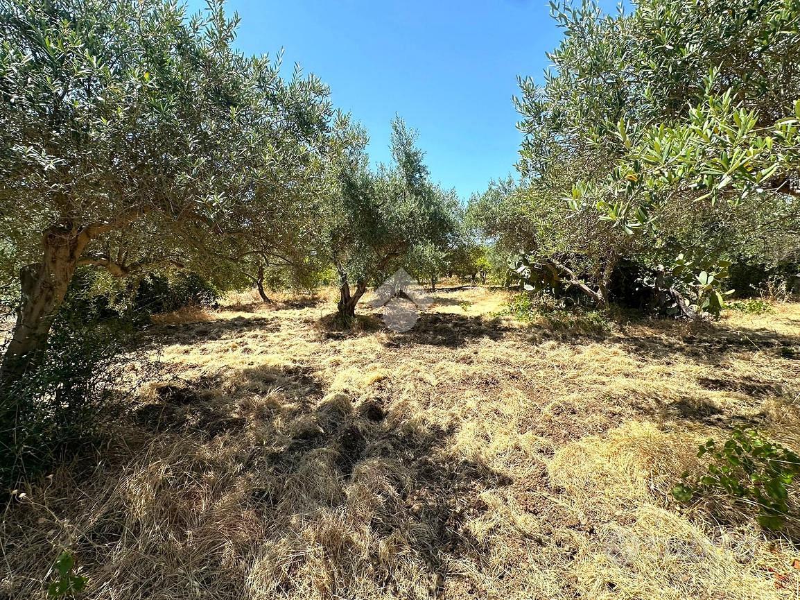 TER. AGRICOLO A CASTELDACCIA - Vista 4