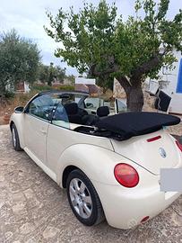 New beetle