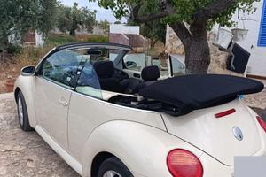 New beetle