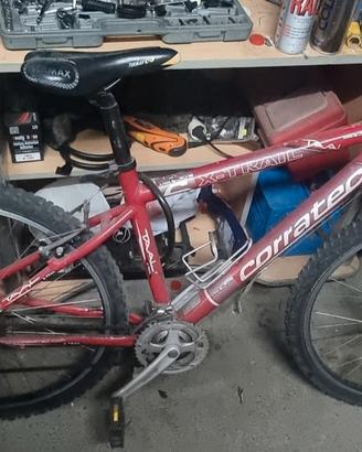 bicicletta Mtb
