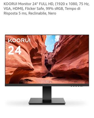 monitor 24 pollici