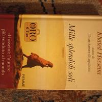 Mille splendidi soli. Hosseini Khaled